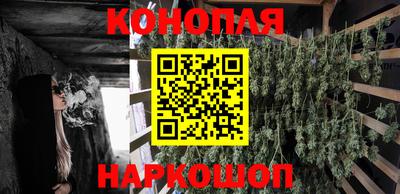 эйфоретик Гатчина
