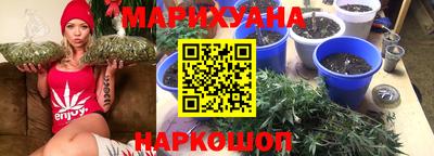 сатива Гагарин