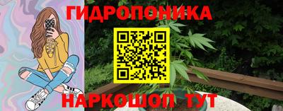 сатива Гагарин