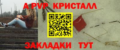 не бодяженный Гай