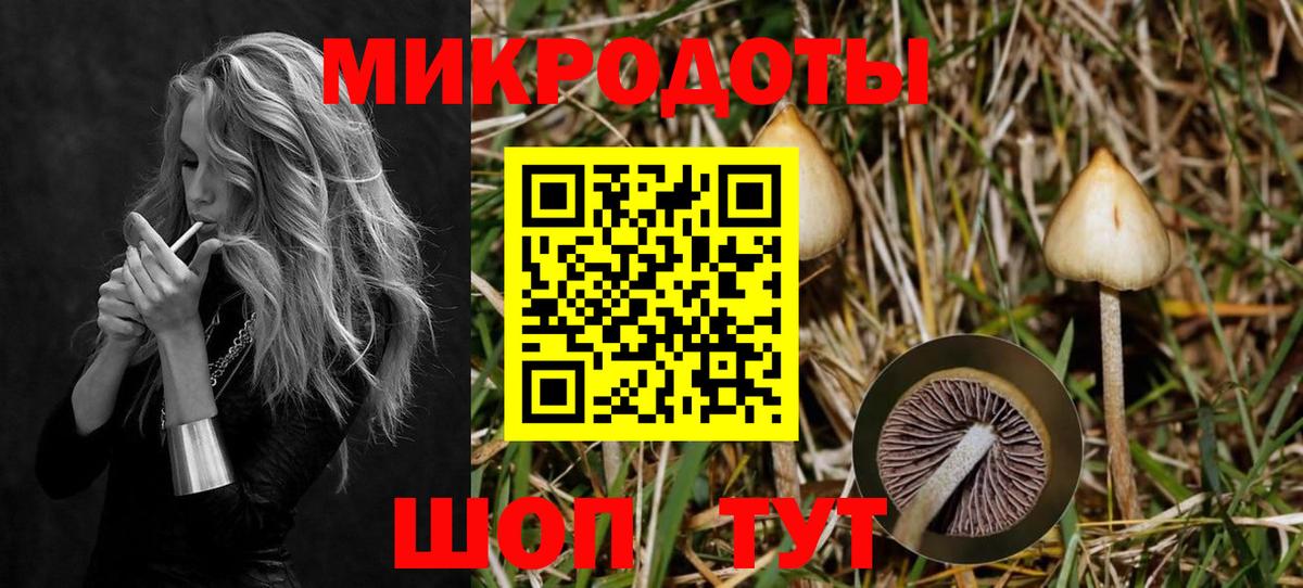 Псилоцибиновые грибы GOLDEN TEACHER  Вход с VPN  Орёл 