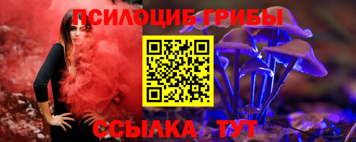 Галлюциногенные грибы мухоморы Орёл